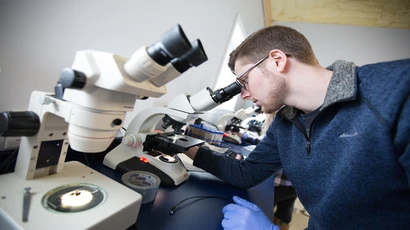 students work in a lab setting with a microscope