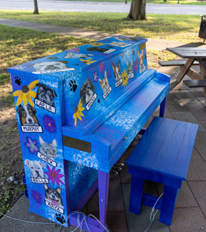 piano decorated with dog images