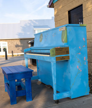 piano decorated with koi fish images