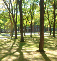 Sciences Grove