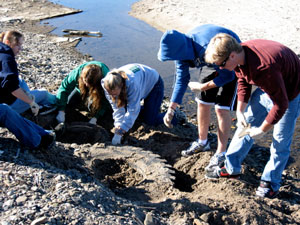 digging tire