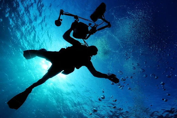 Scuba diver in ocean. Students earning a Biology degree in New York State can travel the world studying myriad lifeforms. 