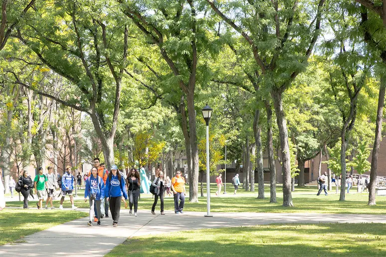 scene of students walking to classes