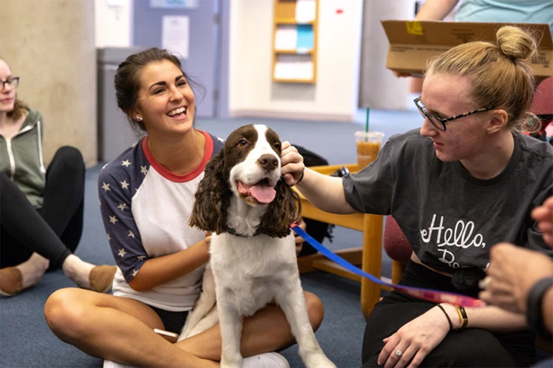 students with dogs 