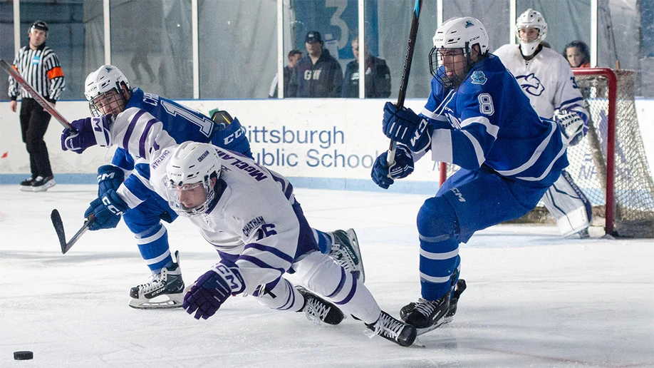 hockey players in action