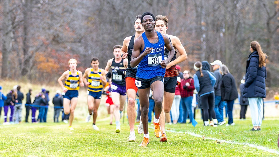 cross country runners on the course