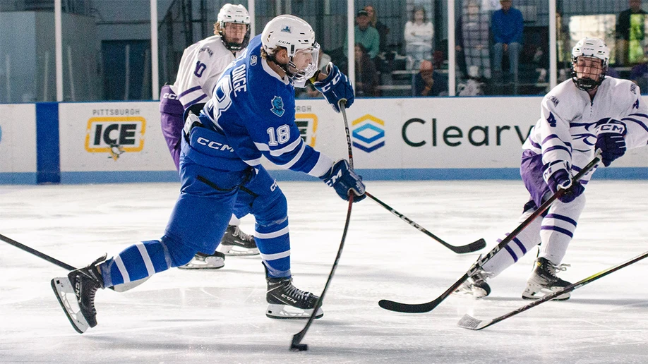 hockey players in action on the ice