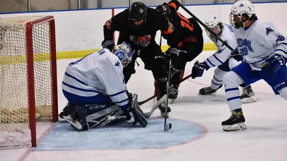 hockey players in action on ice, men's hockey