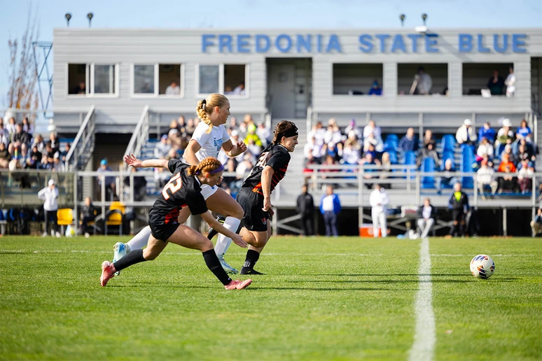 soccer players in action on field