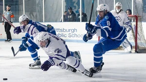 hockey players in action