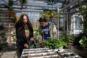 Sydney Hawkins (left) and Isabelle Price, in the Joseph and Jane (Schuster) Falcone Greenhouse in the Science Center, a frequent destination of science students.