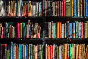 shelves of books