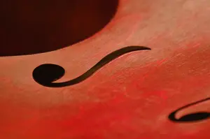 Violin