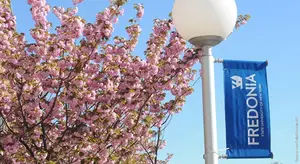 photo of trees and university banner