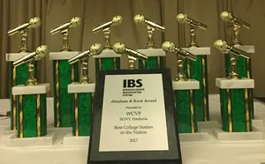 IBS-Award-for-web