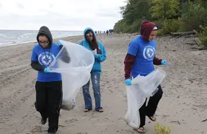 beach-cleanup-for-web