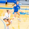 volleyball players in action